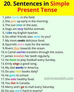 Present Simple Tense is also known as present indefinite as a verb, which is used to describe your habit, routine, and repetition. Simple Present Tense Sentences, Present Tense Sentences, Present Simple Tense, Simple English Sentences, Verbo To Be, English Grammar Tenses, Simple Present Tense, Simple Present, English Learning Spoken