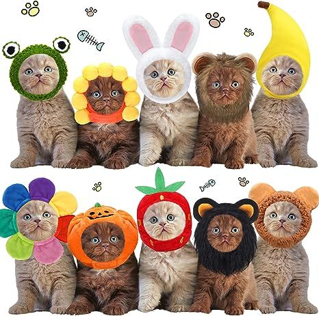 10 pcs cat hat costumes for cats #cathat #catcostumes #cathalloween Cat Christmas Costumes, Cute Cat Costumes, Cat Hats, Festival Birthday, Bunny And Bear, Christmas Costume, Cat Bandana, Cat Hat, Cat Christmas