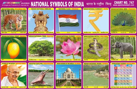 National Symbols Of India, Tiranga Flag, Indian Symbols, India For Kids, National Festival, Gk Knowledge, Printable Preschool Worksheets, National Animal, Flashcards For Kids