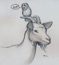 Goat Drawings Cute, Mountain Goat Drawing, Goat Drawings, Cartoon Goat, Goat Drawing, Mini Goats, Happy Goat, Goat Art, Baby Goat