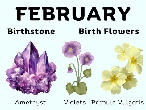 February Month Birthstone and Birth Flower February Symbols, February Stone, February Aquarius, Birth Symbols, Birth Animal, Birthday Month Flowers, Mother Language Day, February Wallpaper, February Month