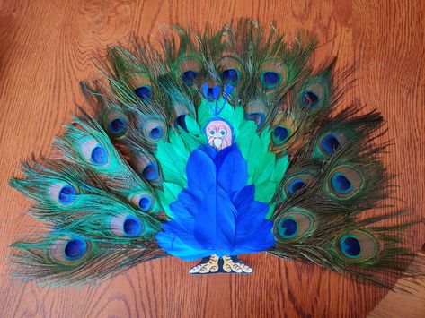 Thanksgiving project for school. Hidden turkey peacock How To Disguise A Turkey As A Peacock, Peacock Turkey In Disguise, Turkey In Disguise Peacock, Turkey Peacock Disguise, Disguise A Turkey Peacock, Hide The Turkey Ideas, Hide A Turkey Project, Hidden Turkey Projects For Kids, Hidden Turkey