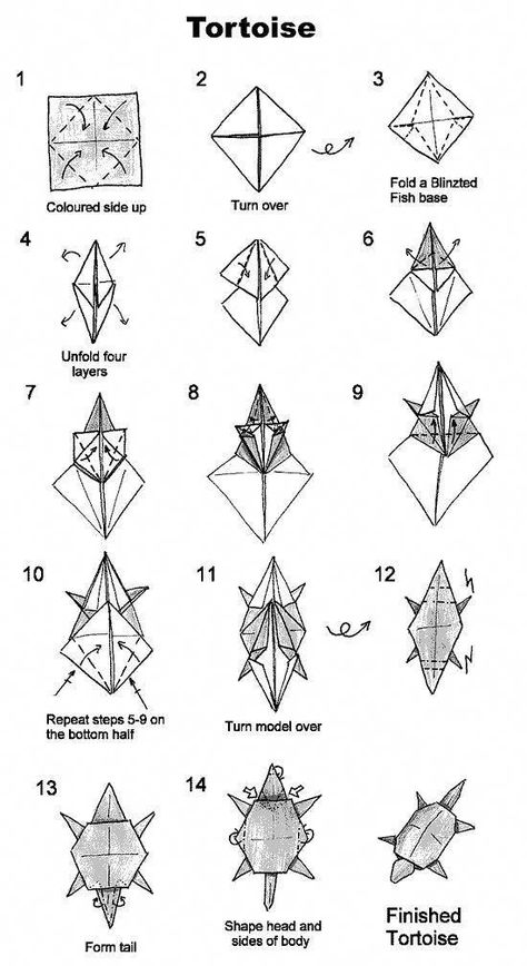 Origami Tortoise, Turtle Origami, Origami Turtle, Origami Diagrams, Origami For Beginners, Origami Dragon, Origami Fish, Origami Love, Origami And Kirigami