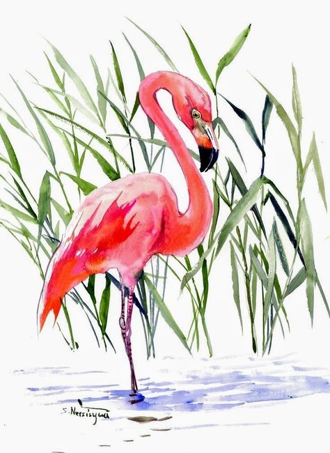 Hummingbird Artwork, Flamingo Artwork, Suren Nersisyan, Flamingo Watercolor, Watercolor Flamingo, Flamingo Craft, Flamingo Art Print, Flamingo Painting, Watercolor Paintings For Beginners