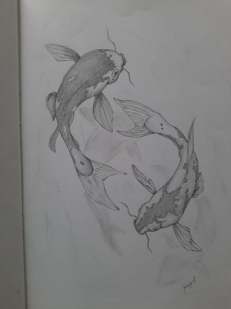 Coy Fish, Japanese Koi, Fish Drawings, Anime Body Drawing, Book Drawing, A Silent Voice, Pencil Art Drawings, Body Drawing, Realistic Art