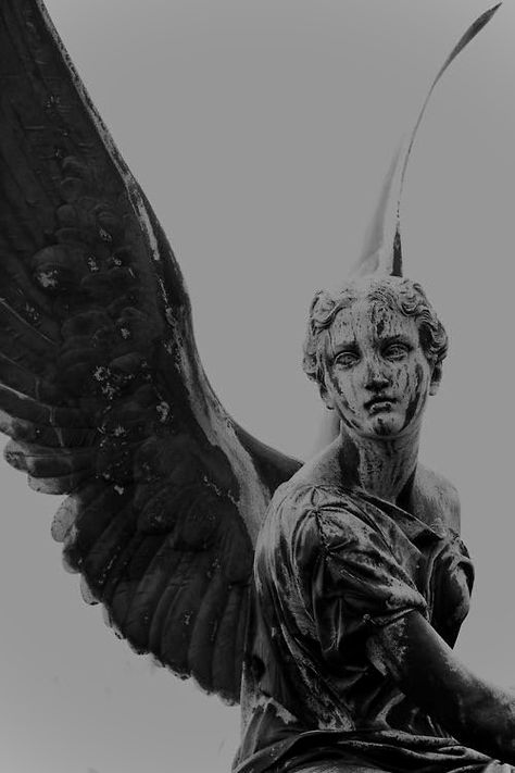 Kingdom Aesthetic, Angel Statues Sculpture, Greek Mythology Tattoos, The Fallen Angel, Rennaissance Art, Roman Sculpture, Cemetery Art, Greek Mythology Art, Deep Art