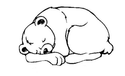 Sleeping Bear Drawing, Apple Clip Art, Animals That Hibernate, Spring Crafts Preschool, Finger Knitting Projects, January Crafts, Penguin Crafts, Winter Art Projects, Sleeping Bear