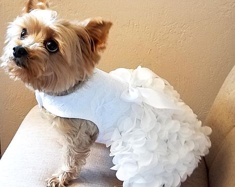 Etsy :: Your place to buy and sell all things handmade Dog Wedding Outfits, Dog Wedding Attire, Dog Wedding Dress, Puppy Dress, Robes D'occasion, Dog Clothes Patterns, Pet Dress, Dog Wedding, Dog Dresses