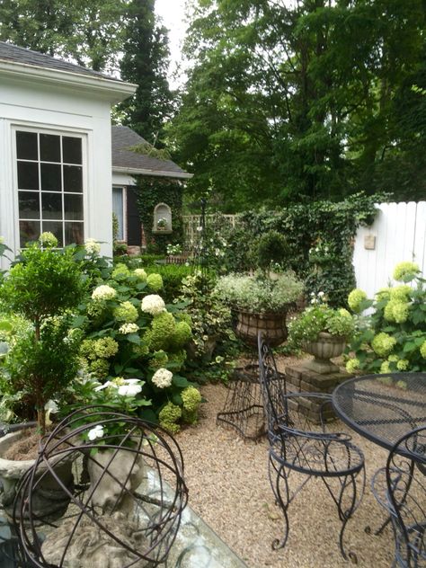 A view in our courtyard 7/12/17-upload by Far Hills Florist Parisian Courtyard Garden, Small Outdoor Garden Ideas, Shaded Courtyard, Small Outdoor Garden, French Courtyard, Outdoor Garden Ideas, Courtyard Landscaping, Small Courtyard Gardens, Gravel Garden