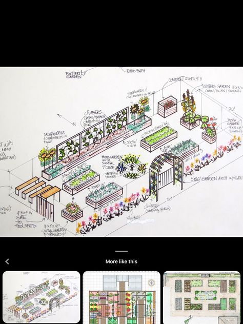 Fruit Trees And Vegetable Garden Layout, 10 X 20 Garden Layout, Vegtable Garden Lay Out, Edible Garden Design Layout, Garden Size Family Of 4, Allotment Layout, Farm Layout 10 Acres, Family Compound Ideas Layout, Garden Plots Layout