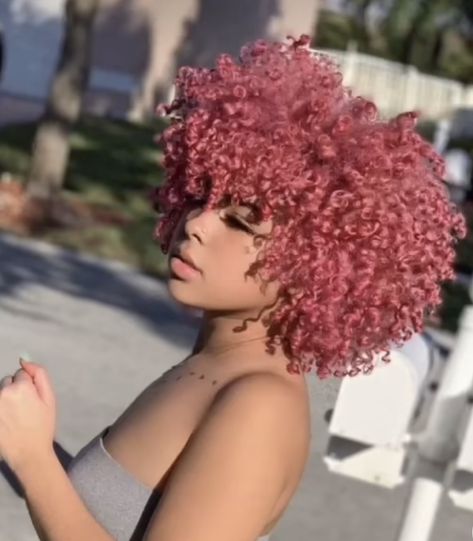 Rose Gold Afro, Dusty Pink Curly Hair, Light Pink Curly Hair Black Women, Pink Afro Hair Black Women, Pastel Curly Hair, Rose Gold Curly Hair, Pink 4c Hair, Light Pink Curly Hair, Dyed Afro