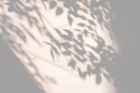 Light Overlays For Edits, Shadow On Wall, Leaf Shadow, Shadow Tree, Shadow Overlay, Tree Shadow, Shadow Light, Mood Images, Shadow Photography