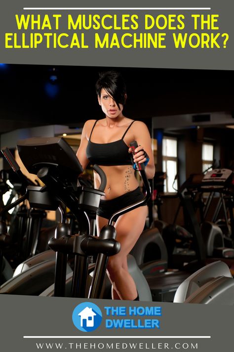 The elliptical machine is an amazing addition to every home gym. So let’s dive in and find out about each major muscle group you target with an elliptical machine. #ellipticalhiit #hiitonelliptical #ellipticalworkout #ellipticalhiitworkout Best Elliptical Machine, Elliptical Before And After, Elliptical Benefits, Knee Fat, Elliptical Machine Workout, Elliptical Workout, Stretch Routine, Elliptical Trainer, Bad Knees