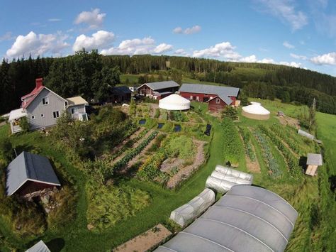 The Most Important Book in 2016 on Permaculture And Self-Reliance. Making Small Farms Work – A Pragmatic Whole Systems Approach to Profitable Regenerative Agriculture DAN WEST APRIL 13, 2016 Small Farms, Modern Agriculture, Regenerative Agriculture, Farm Business, Permaculture Design, Tree Nursery, Natural Ecosystem, Market Garden, Food Web