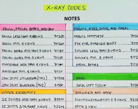 VITAMIN CHEAT SHEET - Etsy UK Certified Professional Coder, Cpt Codes, Facial Bones, Medical Coder, Medical School Studying, Ct Scan, Medical Coding, Medical Terms, Medical School