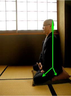 zazen, aitken roshi, wisdom quarterly, lotus position Chair Sketches, Zazen Meditation, Buddhist Meditation Techniques, Soto Zen, Meditation Chair, Vipassana Meditation, Easy Meditation, Buddhist Meditation, Best Meditation