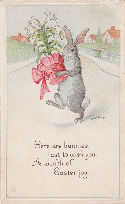 Twelvetrees Easter Bunny #3 | Moore's Postcard Museum Easter Beagle, Gray Rabbit, Easter Vintage, Easter Graphics, Vintage Easter Postcards, Vintage Easter Cards, Vintage Holiday Cards, Easter Illustration, Easter Greeting