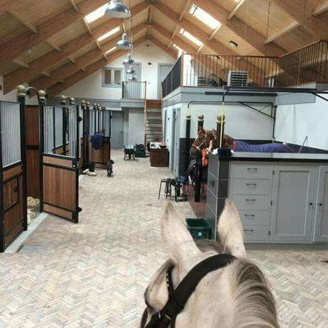 Dream Barn Stables, Equestrian Stables, Horse Farm Ideas, Horse Barn Ideas Stables, Barn Stalls, Horse Barn Designs, Dream Horse Barns, Dream Stables, Horse Barn Plans