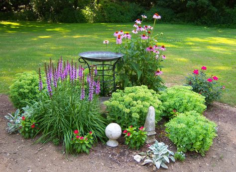 how I disguised my ugly septic tank cover!! (it's under the bird bath) Garden Around Septic Tank, Landscape Around Septic System, How To Landscape Around Septic Tank Lids, Flower Bed Around Septic Tank, Bird Bath Area Ideas, Bird Bath Flower Bed, Hide Septic Tank Cover Garden Ideas, How To Hide Septic Tank Lids With Plants, Hiding A Well Pump Front Yards