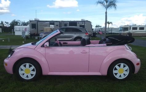 #pinkbeetle #punchbuggy #pinky  #carlashes #pinkbug #vw #newbeetle #windupkey #pink beetle Punchbuggy Aesthetic, Volkswagen Beetle Daisy Rims, Pink Vw Bug, Pink Vw Beetle, Pink Volkswagen Beetle, Pink Beetle, Barbie Car, Bug Car, Volkswagen Beetle Convertible