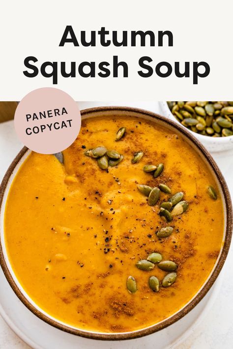 Autumn Squash Soup (Panera Copycat) Sweet Squash Soup, Copycat Panera Autumn Squash Soup, Squash Soup Panera, Panera Butternut Squash Soup, Autumn Soup Recipes, Autumn Squash Soup Recipe, Autumn Soups, Soup Panera, Autumn Squash Soup