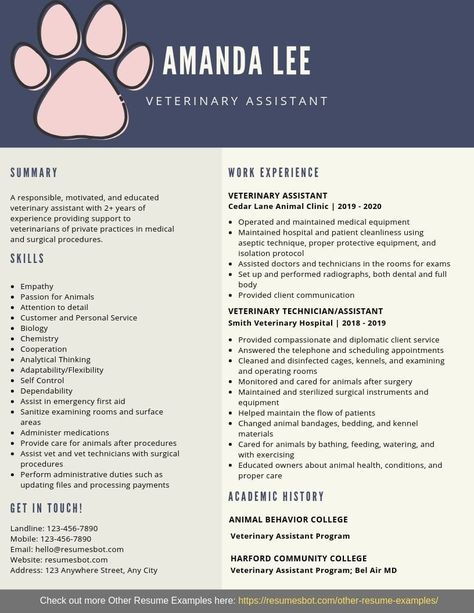 Want to create or improve your Veterinary Assistant Resume? The resume is a key document in the placement process. Check out our samples resumes or guidance & find the right template for the job. #resume #job #career #CareerAdvice #resumetips #JobSearchingtips Veterinary Assistant Tips, Veterinarians Medicine, Resume Hacks, Veterinary Receptionist, Medical Assistant Resume, Veterinary Nurse, Sales Resume Examples, Resume No Experience, Veterinary Assistant