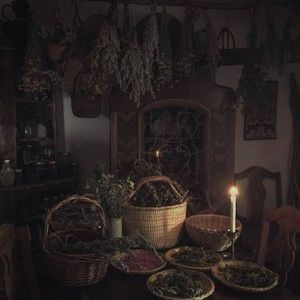 Herbalist Aesthetic Dark, Forest Cottage Aesthetic Interior, Jamiecore Aesthetic, Dark Cottagecore Aesthetic, Witchy Cottage, Dark Cottage Core, Witchy Cottagecore, Baba Jaga, Dark Fairycore