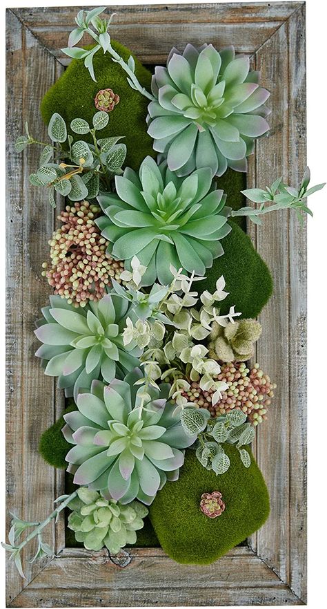 Amazon.com: Room & Bloom Artificial Succulent Wall Art Flower Decor Kitchen Decorations Lounge Room Dining Room Picture 3D Living Room Floral Framed Fake Faux Hanging Succulents House Decor Green Hanger : Home & Kitchen Diy Fake Succulent Wall Planter, Succulents In Picture Frame, Faux Succulent Wall Art, Succulent Frame Wall Hangings, Moss And Succulent Wall Art, Succulent Wall Hanging, Living Wall Indoor, Living Wall Planter, Fake Hanging Plants