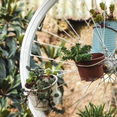 Repurposed Planter, Fun Planters, Chair Planter, Creative Planter, Unique Garden Decor, Inside Plants, Succulents Indoor, Succulent Terrarium, Easy Plants