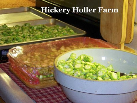 Hickery Holler Farm: Blanching Okra And Freezing Breaded Okra Breaded Okra, Freezing Veggies, Freezing Recipes, Freeze Food, Freezing Vegetables, Fried Okra, Pickled Okra, Preserving Recipes, Okra Recipes