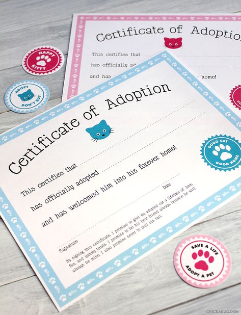 Adoption Certificate Template, Dog Adoption Certificate, Cat Birth, Pet Adoption Certificate, Pet Adoption Party, Kitten Birthday Party, Cat Themed Parties, Cat Themed Birthday Party, Kitten Party