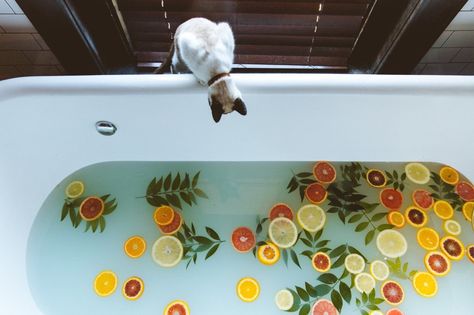 M I N I M A L I S M on Twitter: "https://t.co/0W7KFsNxKI" Bath Goals, Mascara Hacks, Bath Photography, Dream Bath, Lemon Slices, Flower Bath, Milk Bath, Relaxing Bath, Bath Tub