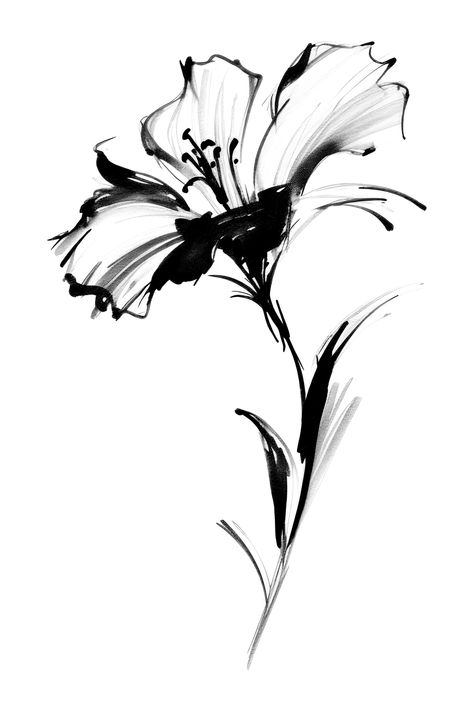 Spooky Flowers Tattoo, White Lily Drawing, Ink Flower Drawing, Flower Xray, Lilly Plants, Cowboy Bebop Tattoo, Larkspur Tattoo, Abstract Botanical Art, Wet Flowers