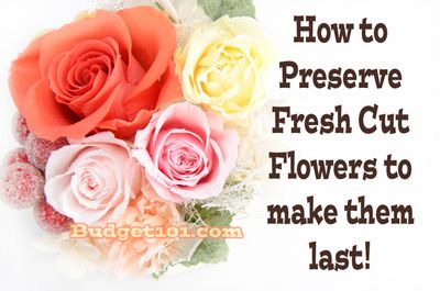 Flowers Last Longer, Sogetsu Ikebana, Diy Arrangements, Fresh Cut Flowers, Flowering Vines, Fresh Cut, How To Preserve Flowers, Do It Yourself, Cut Flowers