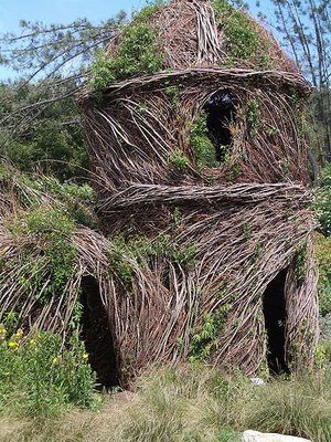 willow structures for children - Make a fox den with baby fox sculptures in it and hawk hunting on branch above - think like a fox! Kickstart the imagination to learn about nature while mom nurses Willow Playhouse, Hawk Hunting, Living Willow Structures, Willow Structures, Willow Sculpture, Living Willow, Fox Den, Willow House, Natural Playground