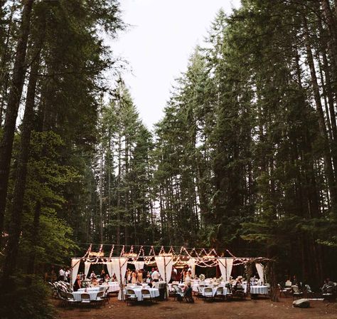 Pop-Up Washington Campsite Wedding: Bethany + Cory | Green Wedding Shoes Woodland Camp, Woodland Wedding Decor, Campsite Wedding, Woodland Wedding Dress, Woodland Wedding Cake, Woodland Wedding Decorations, Campground Wedding, Boho Wedding Dress Bohemian, Summer Camp Wedding