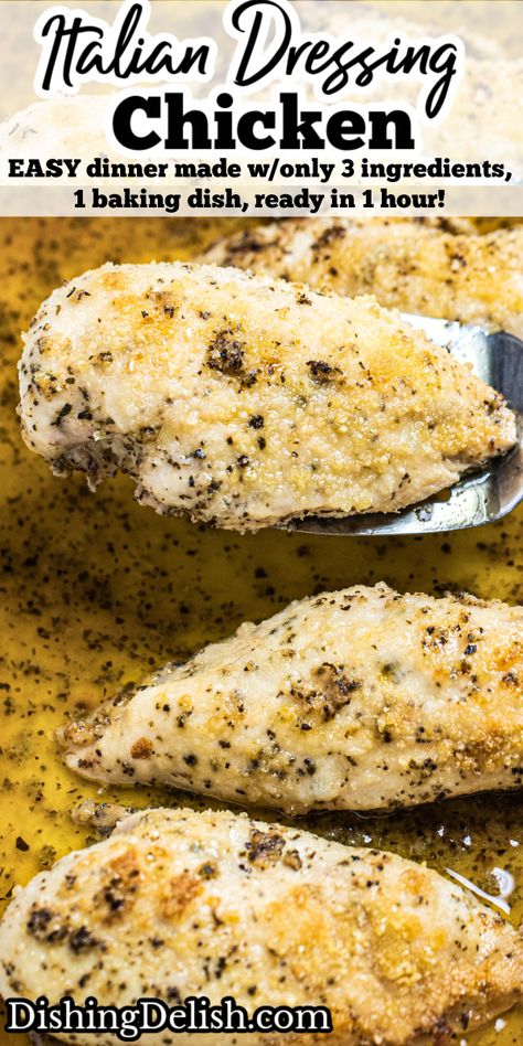 Italian Dressing Chicken is an EASY weeknight dinner, made with only 3 ingredients in 1 baking dish and ready in 1 hour! Italian Dressing Packet Chicken, Chicken Baked In Italian Dressing, Chicken With Olive Garden Dressing In Oven, Recipes Using Good Seasons Italian Dressing, Sheet Pan Chicken Italian Dressing, Baked Chicken Recipes Italian Dressing, Chicken Cooked In Italian Dressing, Chicken With Zesty Italian Dressing, Zesty Italian Dressing Chicken