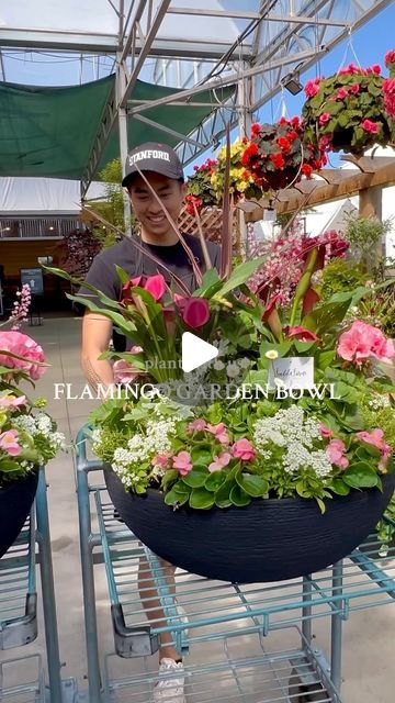 VANDULA FARMS on Instagram: "Wow your guests with a show-stopping garden bowl! 💖Follow along for Container Recipe: 🤩👇
Thrillers: Cordyline Splendour, Calla Lilies
Fillers: Geraniums, Heuchera, Dusty Miller, Calluna Vulgaris, Bellis, Fibrous Begonias, White Alyssum
Spillers: NONE! Which is perfectly okay for shallow bowls

#patiogarden #patioseason #containergardens #containergardening #vancityfeature #vancouverisawesome #vancityvibe #vancouverbc #deltabc #richmondbc #burnabybc #coquitlambc #northvancouver #downtownvancouver #ubcvancouver" Calla Lily Landscaping Ideas, Bowl Planters Outdoor, Begonia Planter Ideas, Plants On Deck, Flower Combos, Lilly Garden, Garden Bowl, Land Scaping, Landscape Meadow