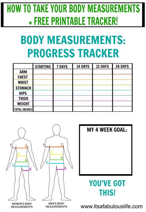 How To Take Your Body Measurements Free Printable Tracker Weight Measurement Chart, Measurement Tracker, Body Measurement Tracker, Printable Tracker, Body Measurement Chart, Weight Charts, Tracker Fitness, Planner Tracker, Biggest Loser