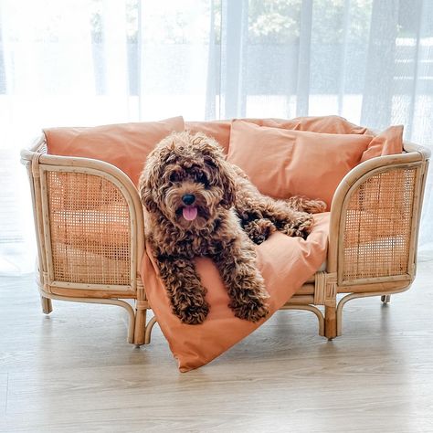 POV: You’ve entered your dog bed styling era … (and are loving it 🫢) 👏🏻 🤍✨ Still an absolute fav combo. Beautiful bed from @koko.collective paired with our Doonie in 🧡 ‘Kibble Clay’ = chef’s kiss 😙👌🏼 Do you love styling your dogs sleep spaces too? … If so we should definitely be friends 🫢 #doggiedoonie #dogduvet #dogdoona #dogbed #dogbeds #stylishspaces #dogbedswithstyle #stylishdog #dogsofaustralia #rattanfurniture Beautiful Bed, Sleeping Dogs, Rattan Furniture, Beautiful Bedding, H Style, Bed Styling, Dog Bed, Duvet, Chef