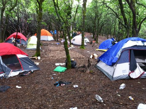 Trash In Forest, Shasta Lake, Mt Shasta, Red Bluff, News Magazine, Group 1, Forest Service, Lake Forest, Online News