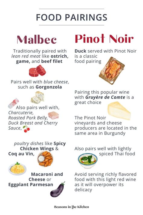 Malbec vs Pinot Noir: Explore the differences, origins, unique flavors, and perfect pairings for these two distinct wines. Chianti Wine, Beef Filet, Cherry Sauce, Chianti Classico, Food Pairing, Wine Vineyards, Wine Education, Red Wines, Wine Guide