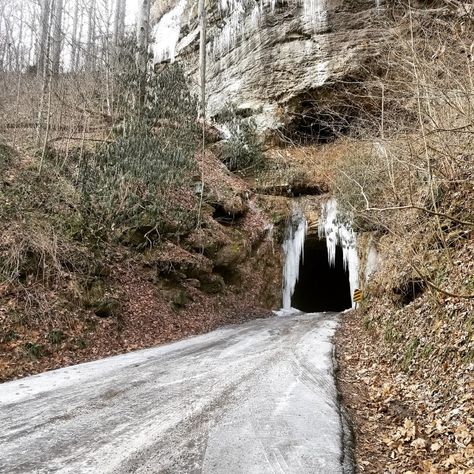 The Red River Gorge Winter Vacation Guide | Red River Gorge Tourism Winter Weather Activities, Kentucky Hiking, Red River Gorge Kentucky, Kentucky Vacation, Daniel Boone National Forest, Ideas For Fun, Sky Bridge, New River Gorge, Red River Gorge