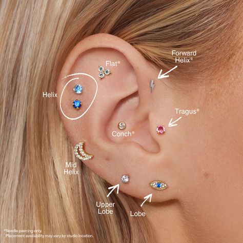 Types Of Piercings Ears Chart, Types Of Ear Piercings Chart, Ear Piercing Chart, Piercings Chart, Upper Ear Piercing, Daith Piercings, Different Ear Piercings, Ear Piercings Chart, Ear Piercing Ideas