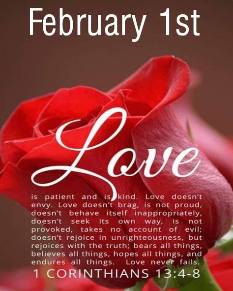 February 1 Blessings Quotes, February Scripture, Happy February Images, February 2nd Blessings, February Blessings Quotes, February 1st Blessings, 1 February Quotes, February 1 Blessings, February Prayer