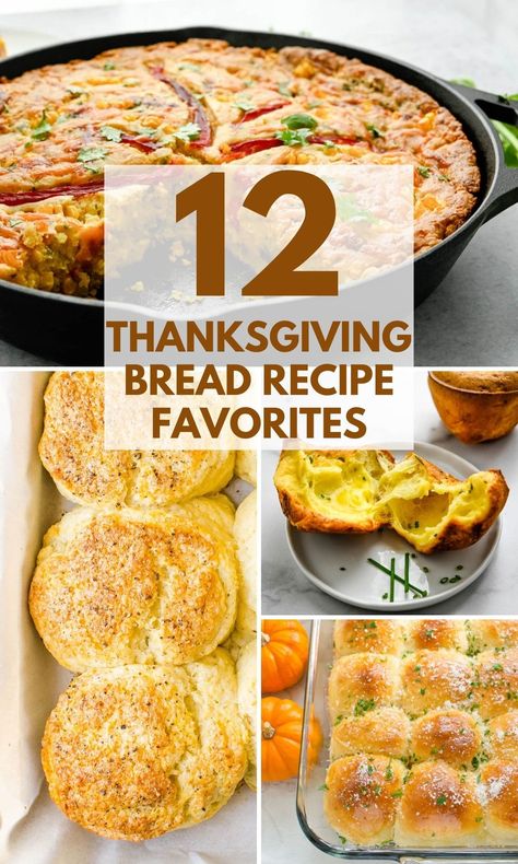 Breads For Thanksgiving, Thanksgiving Bread Ideas, Thanksgiving Breads, Biscuit Recipe Ideas, Thanksgiving Bread Rolls, Thanksgiving Bread Recipes, Bread Thanksgiving, Holiday Rolls, Thanksgiving Dinner Rolls