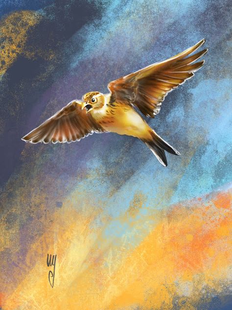 Skylark Bird Paintings, Skylark, Bird Drawings, Bird Species, Tattoo Styles, Birds Painting, Abc, Illustrator, Birds