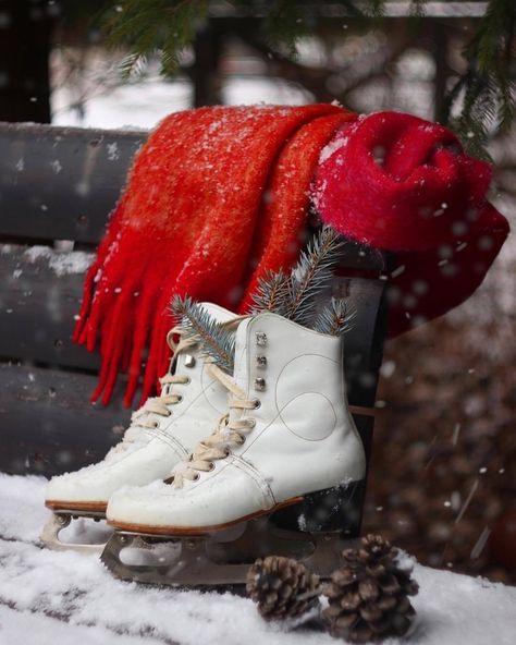 ✽Delightful✾ Winter Skating, Winter Cottage, Winter Photoshoot, I Love Winter, Winter Cabin, Ice Skates, Winter Magic, Winter Beauty, Winter Wonder