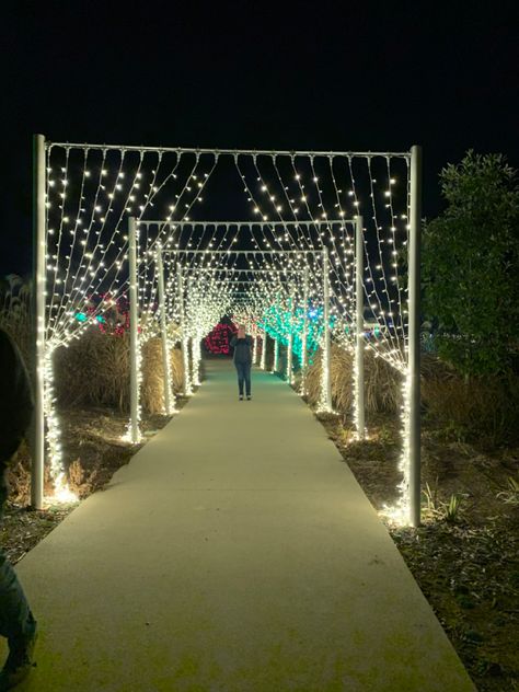 Event Tunnel Entrance, Wedding Light Tunnel, Wedding Entrance Decor Walkways, Skull Wedding Decorations, Indian Outdoor Wedding Decor, Small Wedding Decor, Wedding Decorations Ideas, Event Entrance, Fairy Lights Wedding