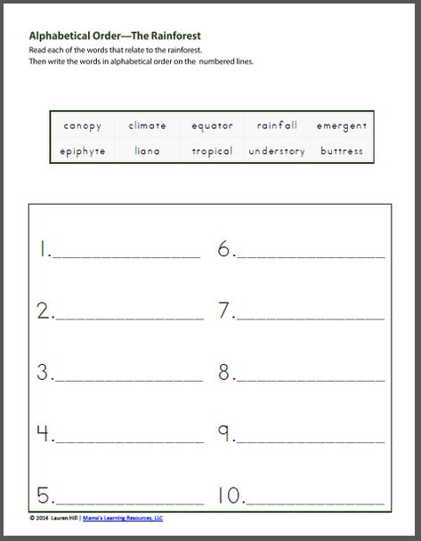 Rainforest Worksheets Rainforest Worksheets, Rainforest Project, Types Of Forests, Nouns Worksheet, Rainforest Animals, Abc Order, Free Worksheets, Venn Diagram, Alphabetical Order